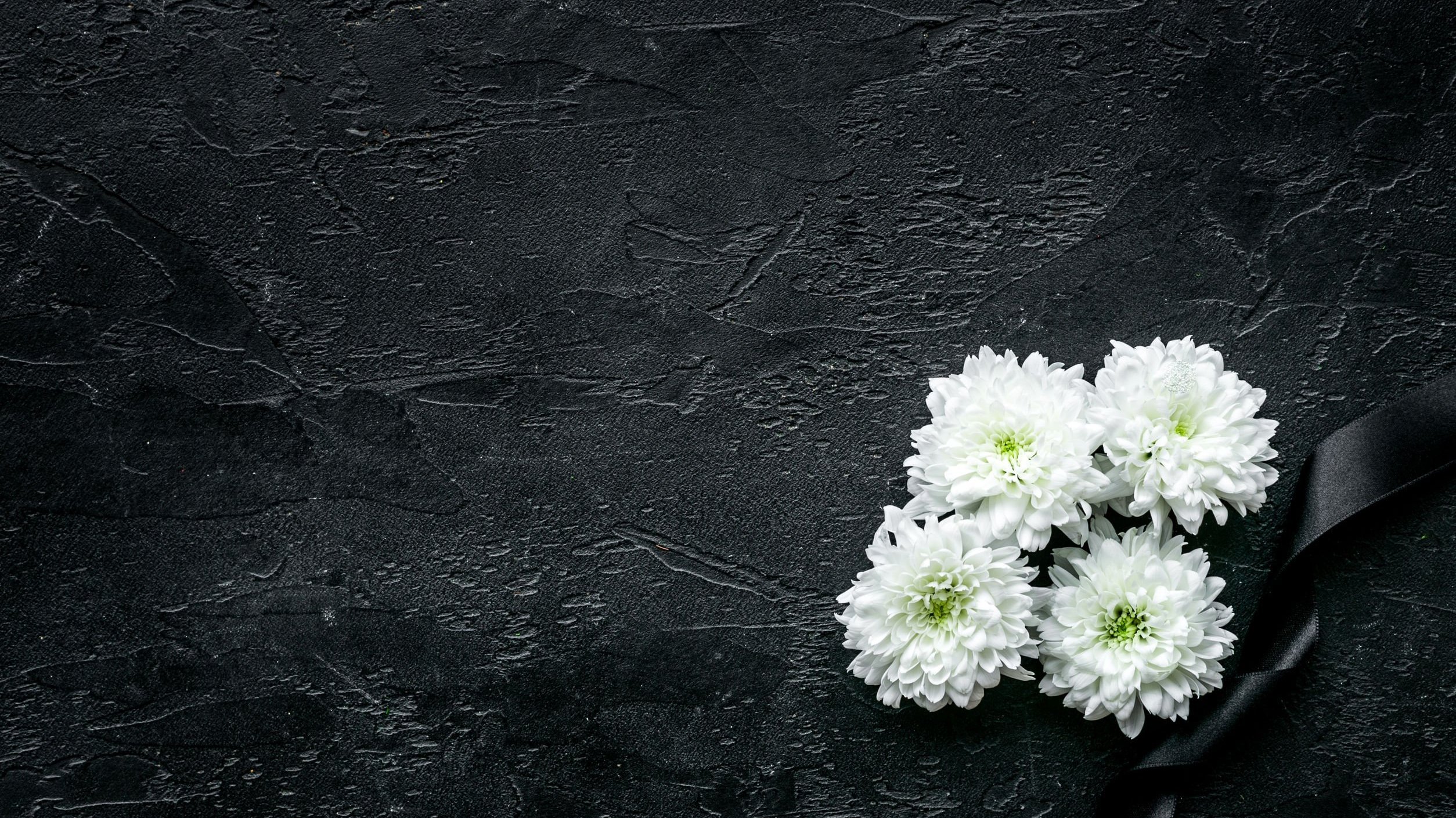 Flores em fundo preto simbolizando luto.