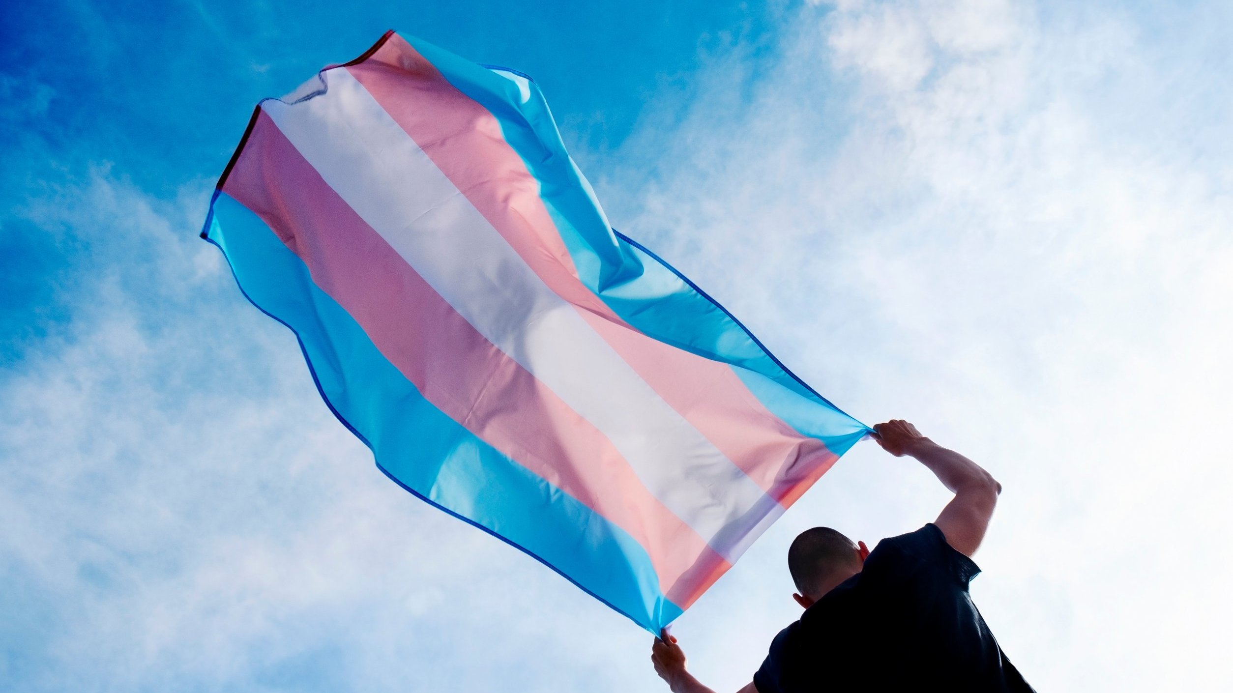 Uma pessoa vista de costas segurando a bandeira trans contra o céu azul