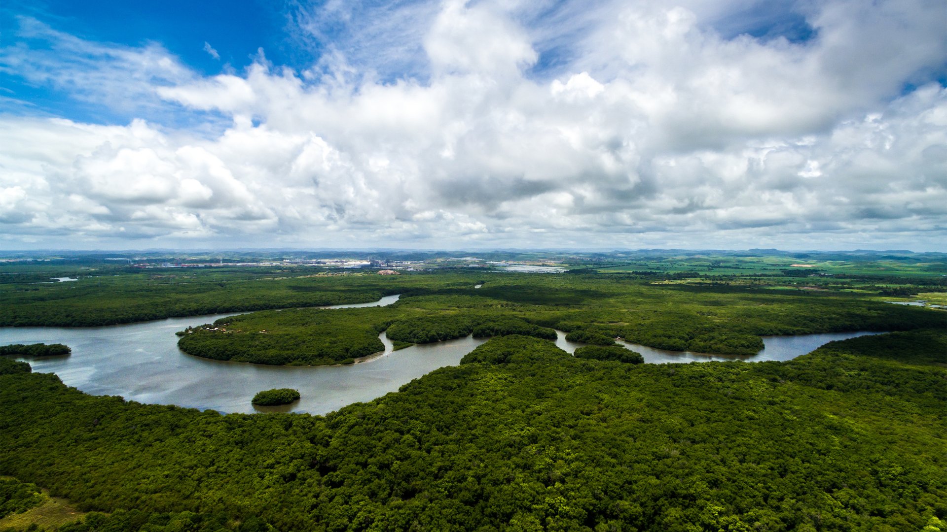 Foto aérea da floresta Amazônica