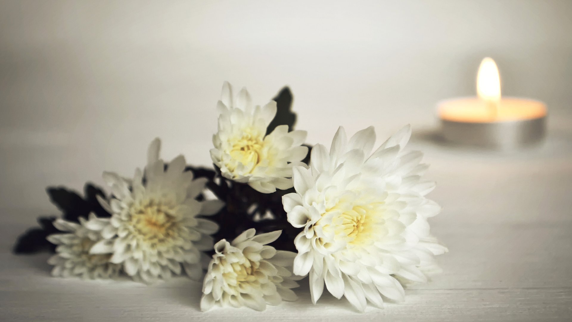 Flores brancas e, ao fundo, uma vela acesa.