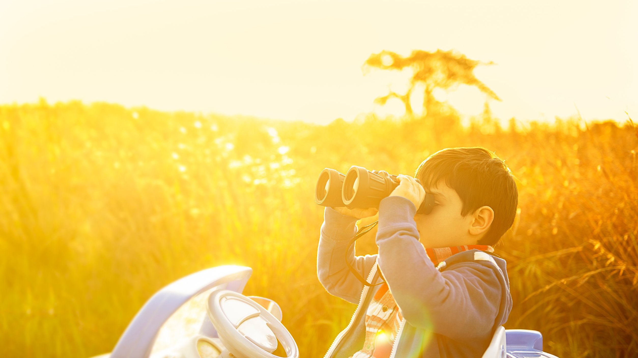 Criança olhando pelo binóculo no meio da natureza num dia ensolarado