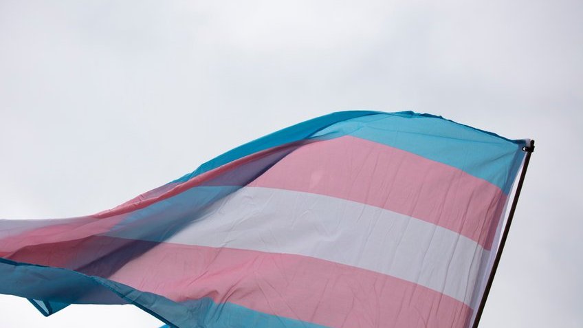 inkdrop / 123rf Bandeira do orgulho transexual.