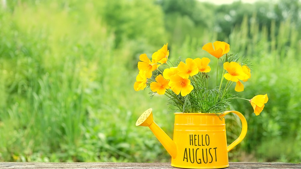 Regador amarelo, escrito hello august, e com flores amarelas saindo de dentro dele. Ao fundo, uma paisagem verde.