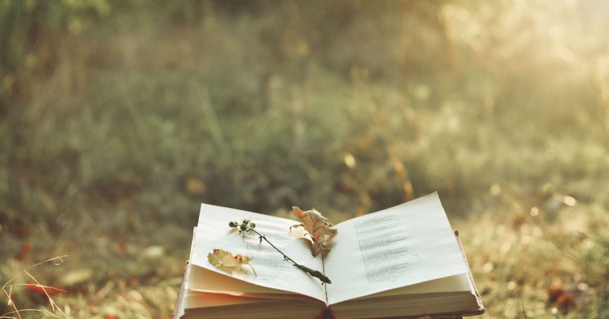 Foto de um livro com flores em cima numa floresta