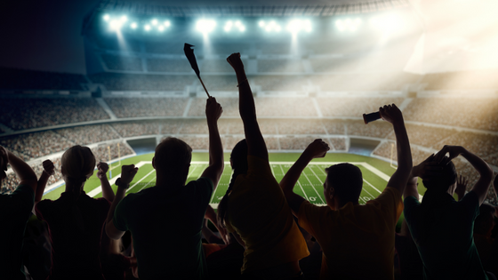 Torcedores vendo jogo em estádio