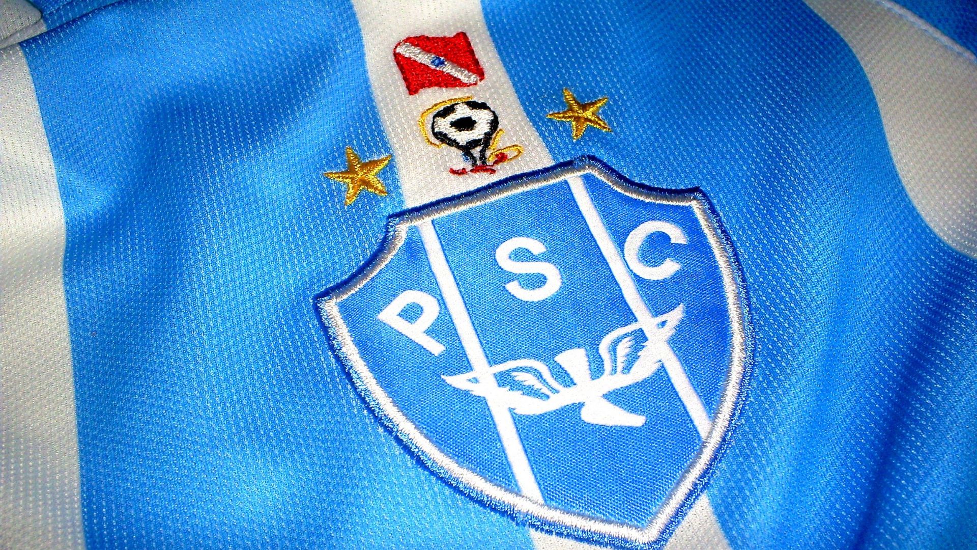 Imagem da bandeira do Paysandu Sport Club
