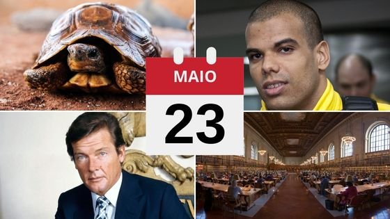 Gride dos fatos de 23 de maio