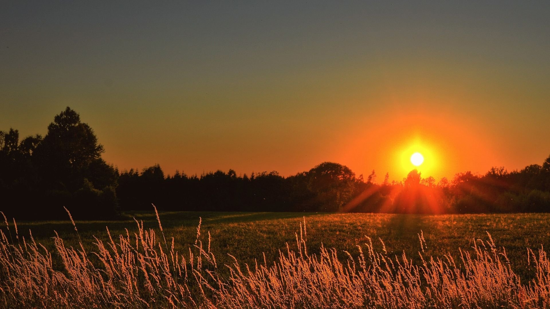 Imagem de um campo e o sol se pondo no céu