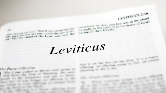 Capítulo de Levítico na Bíblia