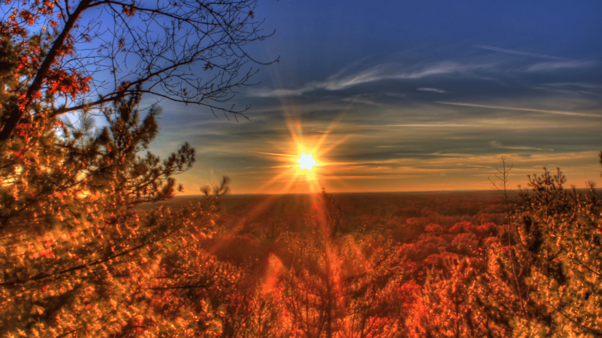 Iluminado por do sol durante um final da tarde em uma floresta cheia de árvores