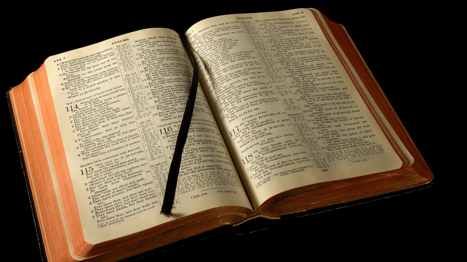Imagem de uma bíblia aberta exposta em um fundo escuro.