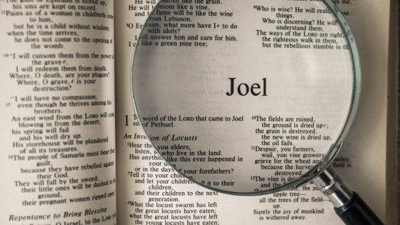 Folha de Joel na Bíblia