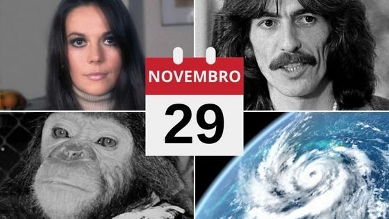 O que se comemora no dia 29 de novembro?